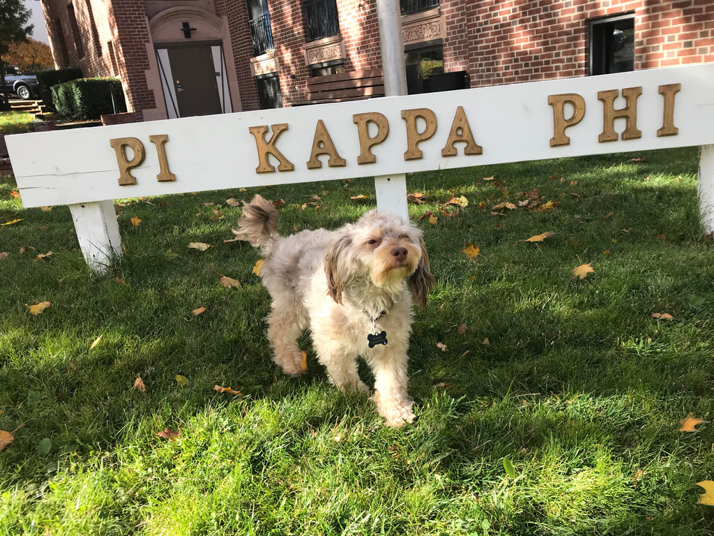 Top Dog on Campus - Coffee - ΠKΦ #FratPets